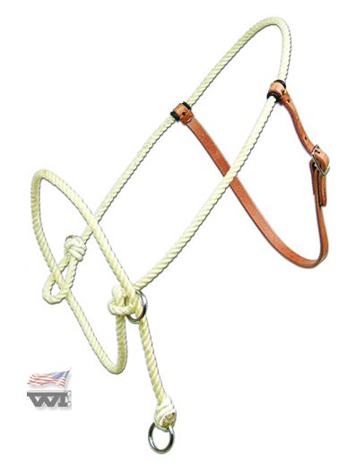 Training Halter