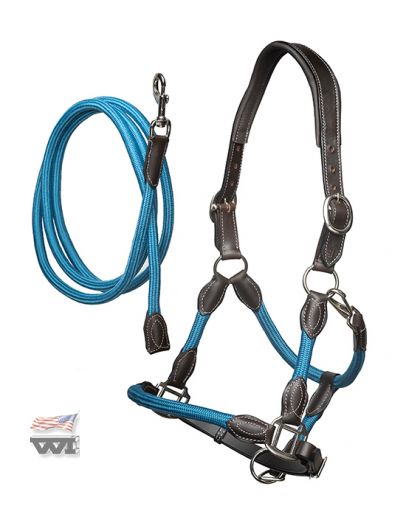 ANATOMICALLY SHAPED HALTER WITH LEAD, PACIFIC