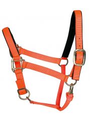 Tuff Stuff Halter - Orange