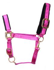 Tuff Stuff Halter, Raspberry