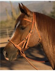 Round Leather Nose Sidepull