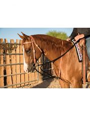 Draw Rope Martingale