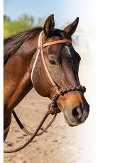 Loping Hackamore